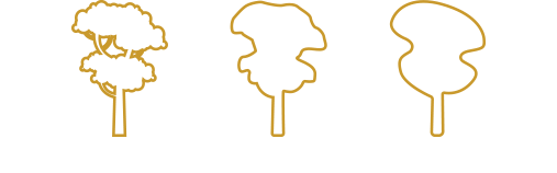 Asset-18